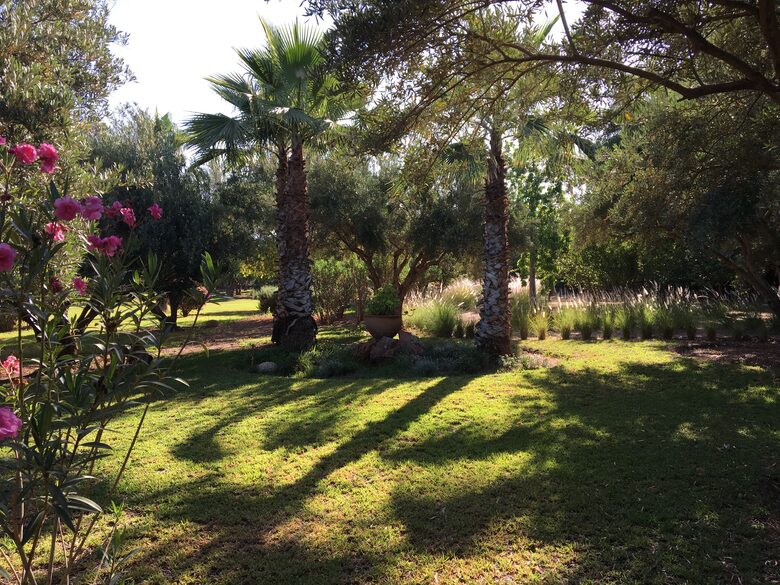 Thé garden…