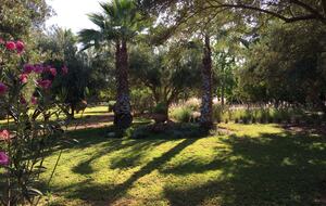 Thé garden…