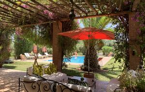 Terrace / Patio