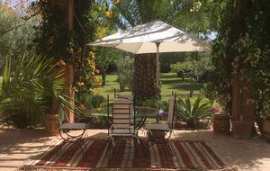Under the Pergola