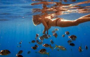 All-Inclusive 7-night TradeWinds AQUA Experience in British Virgin Islands on TW6e Catamaran with Crew - Tortola, Virgin Islands, British