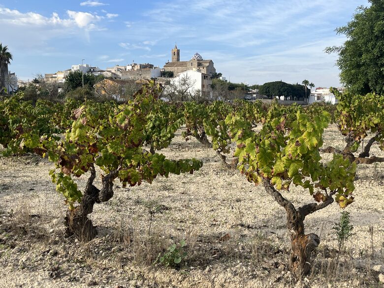 The view to Benitachell on a walk amongst our local vines