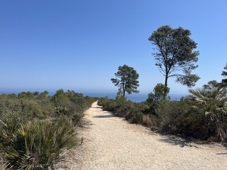 Walking in the Montgo natural park