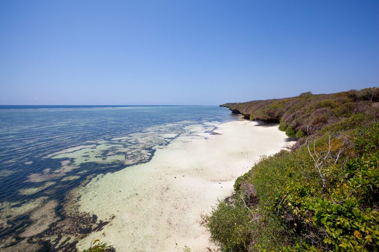 Beach below the clifftop