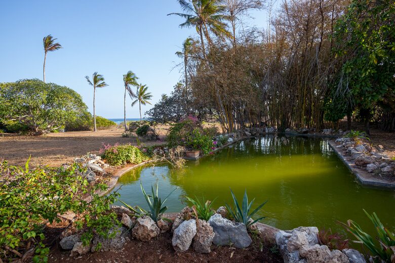 natural pond