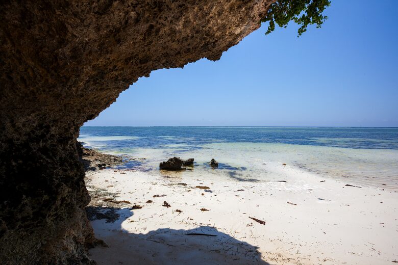 Beach exploring