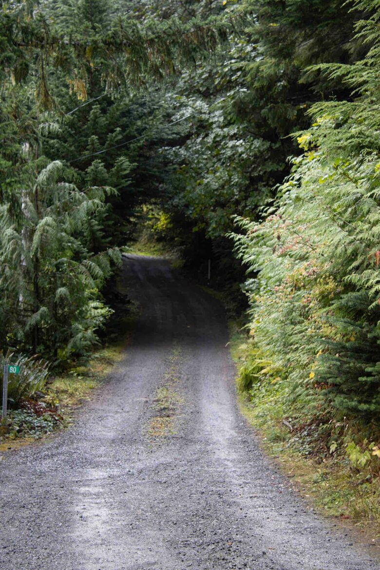 Lake Sutherland Hideaway with Mountain Views - Port Angeles, Washington