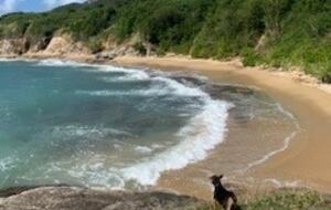 Best beaches in the world!