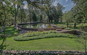 Arizona Mountain Retreat | Main House & Guest Cabin on 4+ Acres - Payson, Arizona