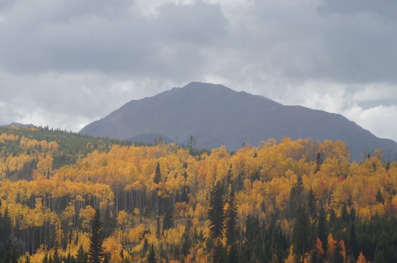 Tele View West