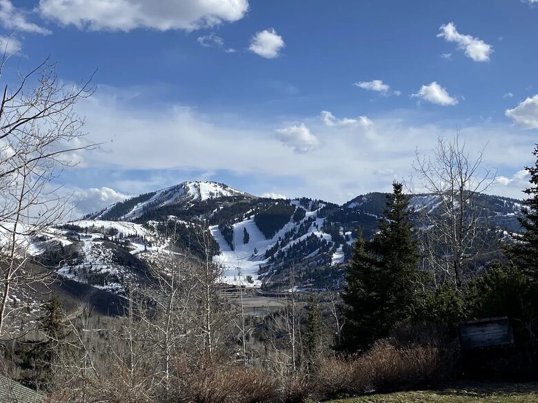 Alpine Luxe at Deer Valley - Park City, Utah