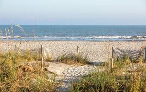 Folly Beach Oceanfront Paradise - Close to Charleston - Folly Beach, South Carolina