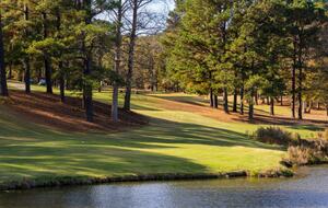 Colonial Charm Villa at Marriott’s Manor Club at Ford’s Colony - Williamsburg, Virginia