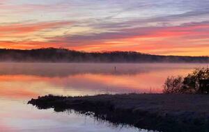 Lake Anna Cabin with Private Dock & Views - Mineral, Virginia