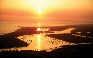 Marriott's Newport Coast Villas - Newport Coast, California