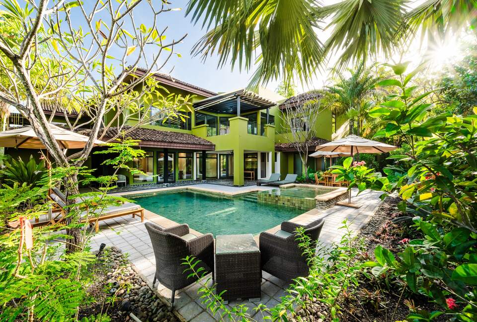 Pool & Back Garden