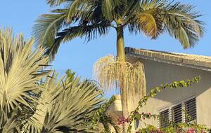 Byron Hill House | Elevated Luxury with Ocean & Hinterland Views - Byron Bay, Australia