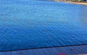 Dockside Serenity | A Lake Norman Escape - Denver, North Carolina