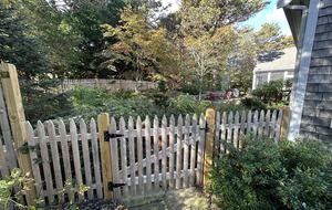View of Back Garden