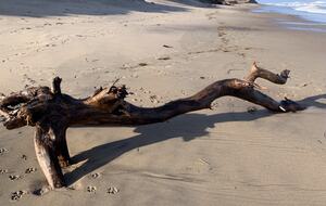 2 Miles to Coast Guard Beach on Ocean