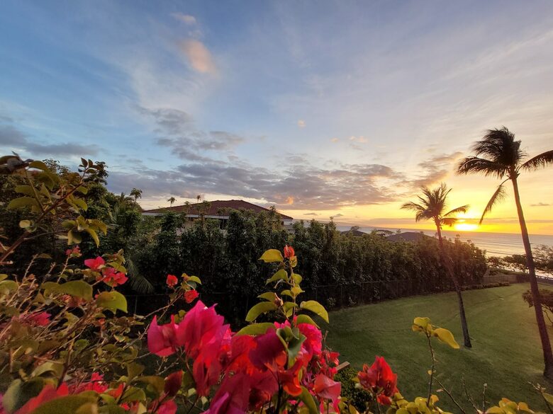 The Palm Oasis: Waterfront Living, Whale Views and Steps to Turtles - Lahaina, Hawaii