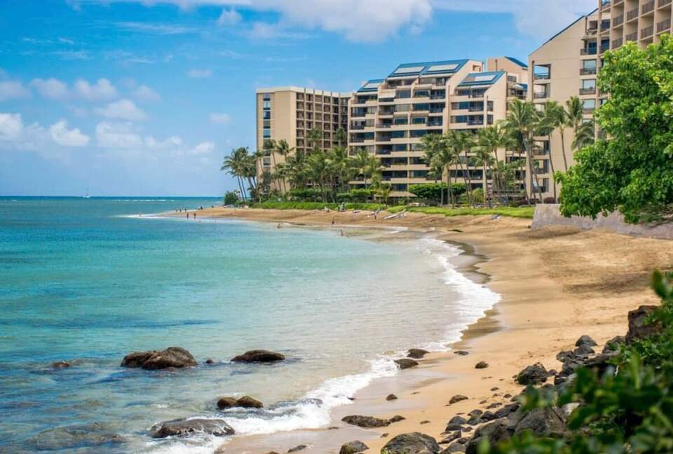 The Palm Oasis: Waterfront Living, Whale Views and Steps to Turtles - Lahaina, Hawaii