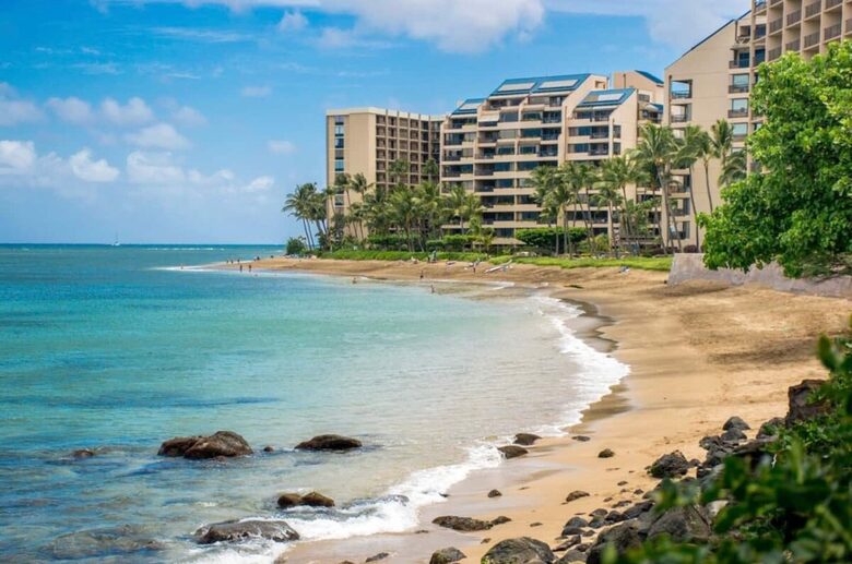 The Palm Oasis: Waterfront Living, Whale Views and Steps to Turtles - Lahaina, Hawaii