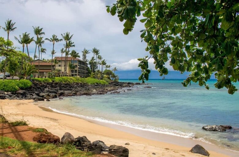 The Palm Oasis: Waterfront Living, Whale Views and Steps to Turtles - Lahaina, Hawaii