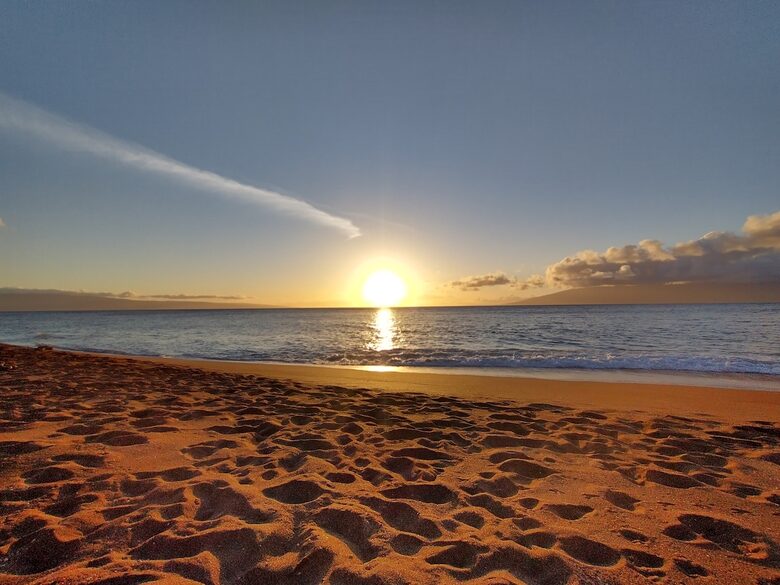 The Palm Oasis: Waterfront Living, Whale Views and Steps to Turtles - Lahaina, Hawaii