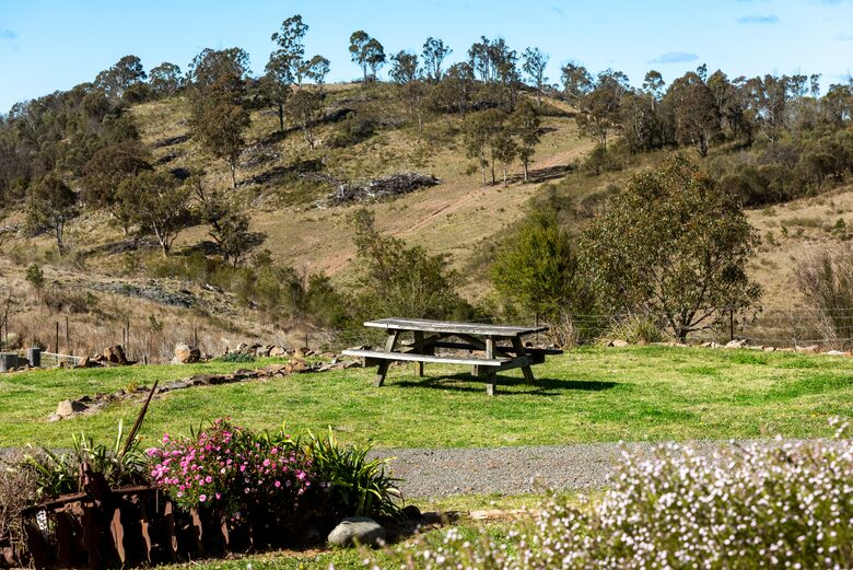 Bullio - Australian Farm Experience - Sydney, Australia
