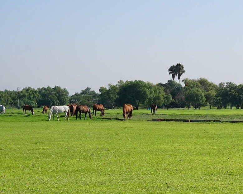 Tranquil Golfside Villa in Balvanera Polo Country Club - Corregidora, Mexico