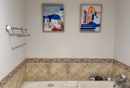 Master bathroom jet hot tub