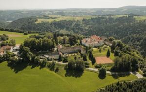 2 bedroom Apartment Within Altenhof Castle - Altenhof, Austria