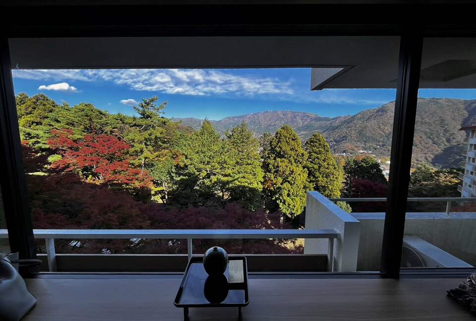 View - Living Room