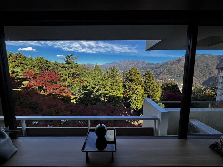 View - Living Room