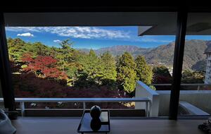 View - Living Room