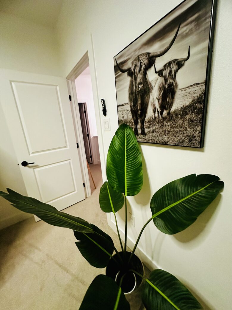 Modern Luxury Cozy 3 Kings & Big Gameroom in New Braunfels - New Braunfels, Texas