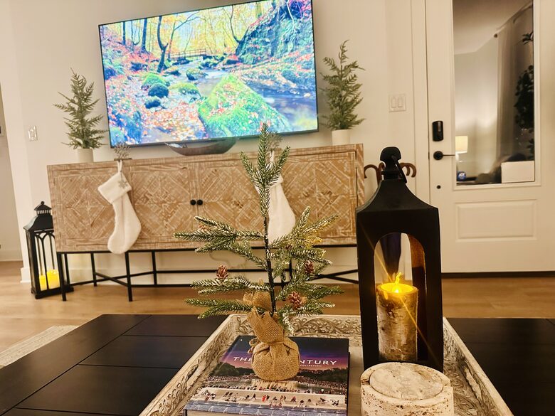 Modern Luxury Cozy 3 Kings & Big Gameroom in New Braunfels - New Braunfels, Texas