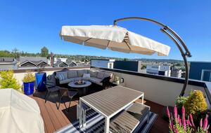 Roof top deck views; includes outdoor gas grill & firepit