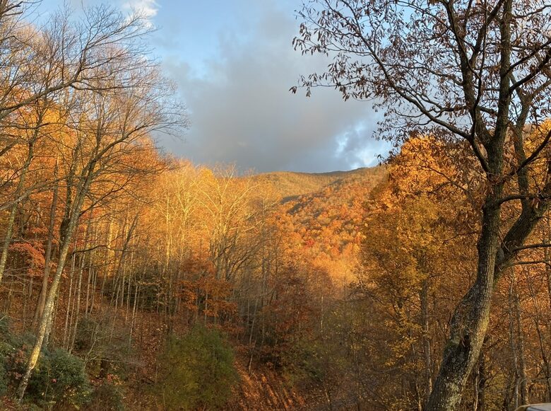 Fall