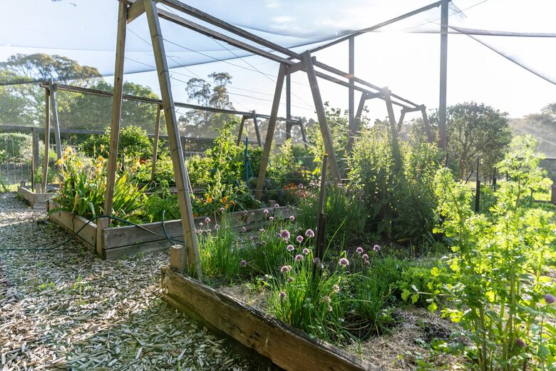 Modern Glass Walled Countryside Sanctuary in Rural Victoria - Bullengarook, Australia